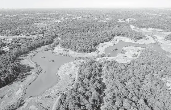  ?? Melissa Phillip / Houston Chronicle ?? The city-owned, 500-acre Keith-Wiess Park is a model for flood retention that can be both beautiful and useful for recreation, according to the Houston Parks Board.