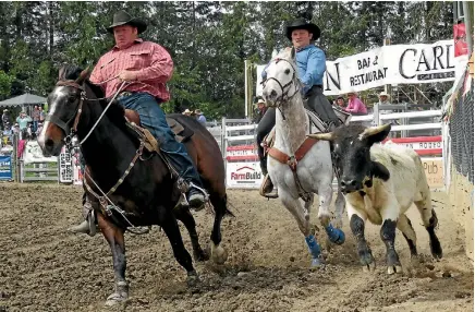  ?? PHOTO: ERIN TASKER/FAIRFAX NZ ?? Greg Lamb on the tail of a steer during the Methven Rodeo’s steer wrestling competitio­n.