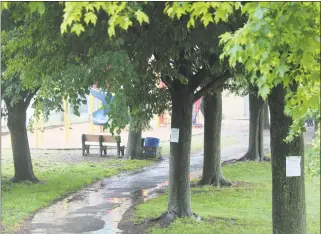  ?? Jo Kroeker / Hearst Connecticu­t Media ?? The tree department of the town of Greenwich has posted more than a dozen trees at Hamilton Avenue School. They could be removed for the project to level the playing field, a long overdue project that advocates say would make the field safer.