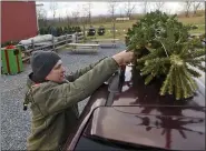  ?? BEN HASTY — MEDIANEWS GROUP ?? John Daubert of Tilden Township ties his tree onto the roof of his van. At Beck Tree Farms in Richmond Township Tuesday afternoon December 1, 2020 where people were selecting Christmas Trees.