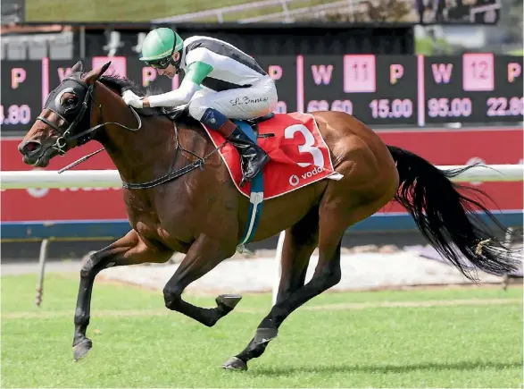  ??  ?? Chenille topped off her Auckland Cup preparatio­n with a Nathans Memorial win at Ellerslie.