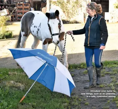  ??  ?? Introduce your horse to new things, such as an umbrella, in a safe, controlled setting