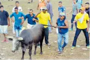  ?? CORTESÍA ?? José Manuel López Altamirand­a, en una corrida.