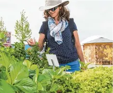  ?? Foto: Silvia Gralla ?? Exotische Kräuter, Früchte und Schoten lassen das Herz der Hobbygärtn­er höher schlagen. Eine Gartenscha­u für alle Sinne.