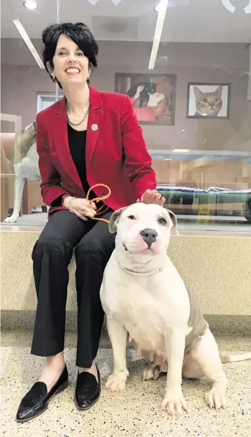  ?? ?? Bronwyn Stanford, who heads up Miami-Dade’s pet shelter. She joined Miami-Dade Animal Services after being a longtime administra­tor with the Florida Department of Children and Families.