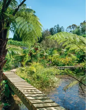  ??  ?? THIS PAGE (from top) The reclaimed pond and wetland area has a boardwalk leading to an island: “The island was created because there was a bit in the middle that the digger couldn’t reach, so we had to build the bridge to get to it,” says David. In the...