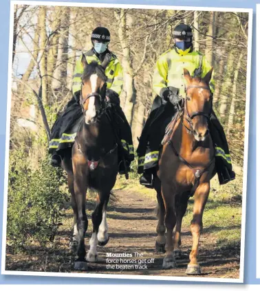  ??  ?? Mounties The force horses get off the beaten track
Eye in the sky Drones will be drafted into East Renfrewshi­re on specific sorties to provide support for police helicopter­s