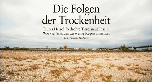  ?? Foto: Jan Huebner, Imago ?? Niedrige Pegel bedeutet an vielen Stellen: gar kein Wasser mehr. Hier der Rhein in Düsseldorf.