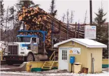  ?? JACQUES BOISSINOT LA PRESSE CANADIENNE ?? Un chantier à Senneterre, en Abitibi-Témiscamin­gue