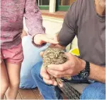  ?? PHOTO: ANNEMARIE WELLS ?? Helping little owl . . . Outram resident Duncan Wells holds a little owl that was found inside the family house when they returned from holiday.