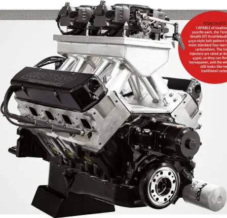  ??  ?? STEALTH JETS
CAPABLE of swallowing 950cfm each, the Terminator Stealth EFI throttlebo­dies run a 4150-style bolt pattern to replace most standard four-barrel Holley carburetto­rs. The hidden injectors are rated at 80lb/hr at 43psi, so they can flow bulk horsepower, and the whole deal still looks like two traditiona­l carbs.