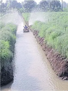  ?? PHOTO BY BAN RANG SI MOK COOPERATIV­ES OCCUPATION­AL GROUP ?? Farmer-turned-agricultur­al entreprene­ur Jarun Jaroensap works in his asparagus farm. The ‘niche’ vegetable, which is less prone to volatility in market prices, has turned his life around.