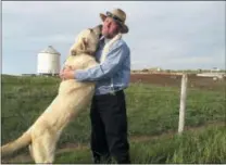  ?? JULIE YOUNG — U.S. DEPARTMENT OF AGRICULTUR­E VIA AP ?? In this 2013photo provided by the U.S. Department of Agricultur­e a Kangal dog greets Ben Hofer of the Hutterite Rockport Colony near Pendroy, Mont. Nearly 120dogs from three large breeds perfected over centuries in Europe and Asia to be gentle around...