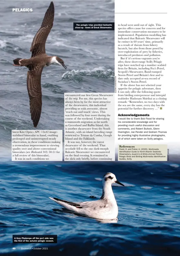  ?? ?? The pelagic trips provided fantastic close-up views of Great Shearwater.