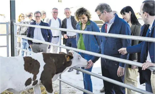  ?? Àlex López / Efe ?? El presidente del PP, Alberto Núñez Feijóo, durante una visita a la granja de la Cooperativ­a de Ivars d’Urgell, ayer.