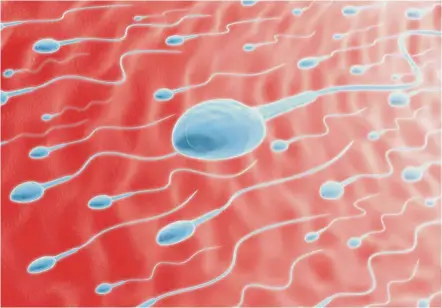  ?? — AFP ?? Males are provided with the appropriat­e magazines and videos in a specific collection room within the fertility centre to help them provide sperm at the appropriat­e time during the IVF procedure.