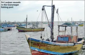  ??  ?? Sri Lankan vessels in the Gurunagar fishing port