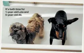  ??  ?? It’s bath time for 1-year-old Lola and 5-year-old Ali.