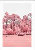  ??  ?? Plakat, Blooming Basket Court, 50 x 70 cm, 229 kr, Desenio.