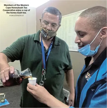  ?? VUKUZENZEL­E ?? Members of the Western Cape Honeybush Tea Cooperativ­e enjoy a cup of the honey bush tea.