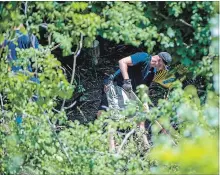  ?? TIJANA MARTIN
THE CANADIAN PRESS ?? Police investigat­e a property along Mallory Crescent in Toronto as part of the Bruce McArthur investigat­ion on Wednesday.