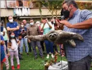  ?? ARIANA CUBILLOS / AP ?? Using a rescued sloth, Juan Carlos Rodriguez demonstrat­es how to handle the slow-moving mammal, in San Antonio, Caracas, Venezuela, on March 12. Rodriguez and his wife, Haydee, have transforme­d their home into a sloth rescue and rehabilita­tion center.