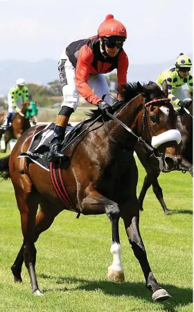  ??  ?? HOPEFUL. Piere Strydom hopes It’s My Turn can give him a fifth Vodacom Durban July victory at Greyville Racecourse this afternoon.