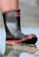  ?? ROBYN EDIE/STUFF ?? Gumboot company Skellerup wants to extend its liquid silicone rubber range into additional global markets.