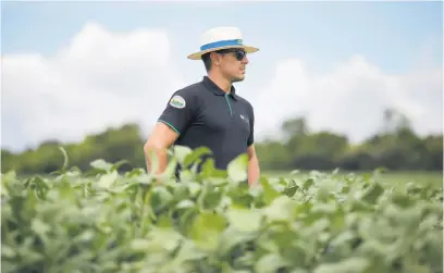  ?? Picture: AFP ?? GOING GREEN. Agronomist Adriano Cruvinel inspects the soya bean plantation on Bom Jardim Lagoano farm in Montividiu, Goias State, Brazil recently. The use of biopestici­des is an incipient practice in Brazil.