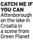  ?? ?? CATCH ME IF YOU CAN Attenborou­gh on the lake in Croatia in a scene from Green Planet