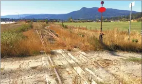  ?? Contribute­d ?? The provincial government has awarded the Shuswap North Okanagan Rail Trail a $500,000 grant to construct a 25-kilometre walking/biking rail from Lansdowne Road in the Township of Spallumche­en (near Swan Lake) to Smith Drive in the City of Armstrong. This photo shows the final section into Armstrong south of Lansdowne Road.