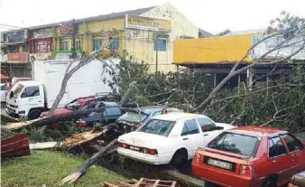  ??  ?? Some of the vehicles that were damaged by uprooted trees in Jalan Ayer Hitam in Kulai during the storm on Monday.