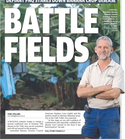  ?? Picture: STEWART McLEAN ?? POSITIVE: Australian Banana Growers Council chairman Stephen Lowe pictured on a healthy Dean Rd banana property at Tully.