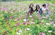  ?? LIANG XIAOPENG / FOR CHINA DAILY ?? Tourists take photos in a field of colorful flowers near a village in Qingdao, Shandong province in May.