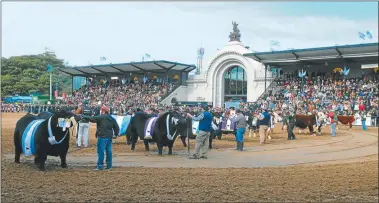  ?? FOTOS: ARIEL BUSTOS ?? GRANDES ELEGIDOS. El sábado 29 será la inauguraci­ón oficial con el tradiciona­l desfile de campeones.