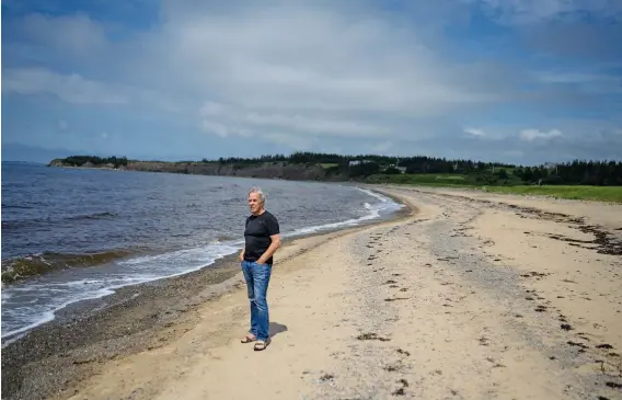  ??  ?? MacIntyre, journalist and author, walks along the beach at Little Judique Harbour, N.S.