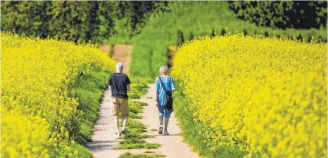  ?? FOTO: DPA ?? Auch in Deutschlan­d vorstellba­r: Wer ein offenes Ohr sucht, bucht sich einen Spaziergän­ger.