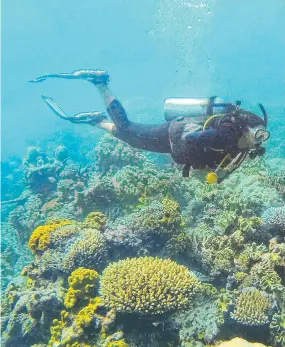  ?? Picture: Evan Morgan ?? Main photo: Author and high school teacher Rohan Lloyd with his new book Saving The Reef.