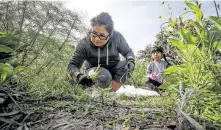  ??  ?? Luz Perez and her daughter Natalia, 6, join Madres del Parque to tend to the flower garden at the park on Saturday.