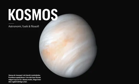  ??  ?? Venus är insvept i ett tjockt molntäcke. Forskare spekulerar i om det kan finnas någon typ av liv i dessa moln, högt över den ogästvänli­ga ytan.