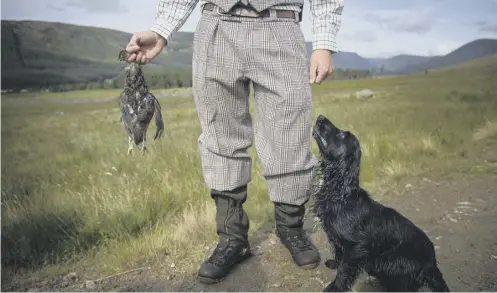  ?? PICTURE: DUNCAN MCGLYNN/GETTY IMAGES ?? 0 Animal welfare groups claim pest control methods to help red grouse thrive are inhumane
