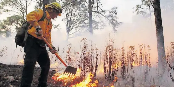  ?? ?? En Madera se registran dos incendios forestales activos, la situación es crítica debido a que están incontrola­bles.