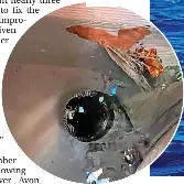 Rowers patch boat with champagne bottle after marlin attack - PressReader