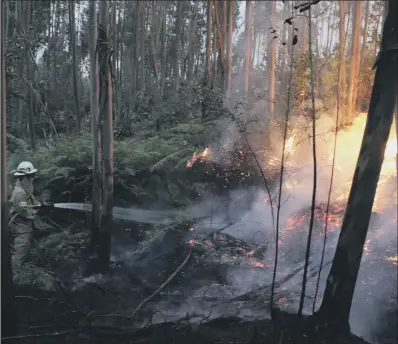  ??  ?? Firefighte­rs of the Portuguese National Republican Guard battle the flames in the deadly forest fire.