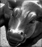  ?? ASSOCIATED PRESS ?? THIS FEB. 7 FILE PHOTO shows The Charging Bull sculpture by Arturo Di Modica in New York’s Financial District.