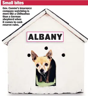  ??  ?? Small bites Gov. Cuomo’s insurance company watchdog is more like a Chihuahua than a German shepherd when it comes to cash reserve rules. ALBANY