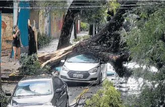  ?? ROBERTO VAZQUEZ/FUTURA PRESS ?? Acidente. Bombeiros registrara­m 18 quedas de árvore na cidade durante a chuva de ontem