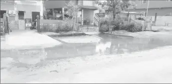  ??  ?? The water which has settled on the roadway in front of Nannan’s grocery store and home.