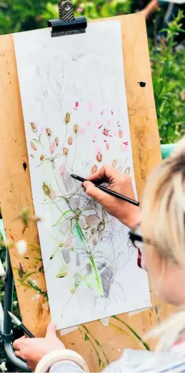  ??  ?? Maxine fills in sketchy outlines of the campion beyond her easel with splashes of delicate colour.