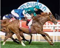  ?? Supplied photo ?? Decorated Knight won the Group 1 Jebel Hatta race under Andrea Atzeni at Meydan Racecourse. —